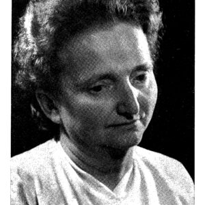 রাখিল লভোভনা বাউমভোল (Rakhil Lvovna Baumvol; ইদ্দিশ নাম রোখল বয়মভোল)