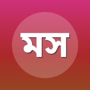 মুহাম্মাদ সাজেদুল ইসলাম