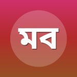 মাহমুদ বিন নূর