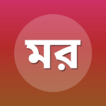 মাজিদা রিফা