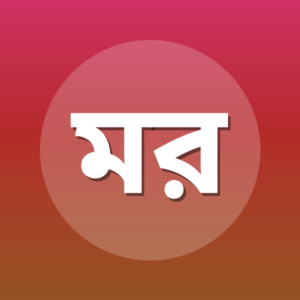 মাজিদা রিফা