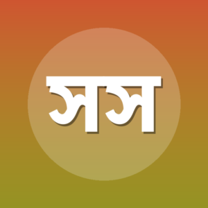 সৈয়দ সালিম গিলানী