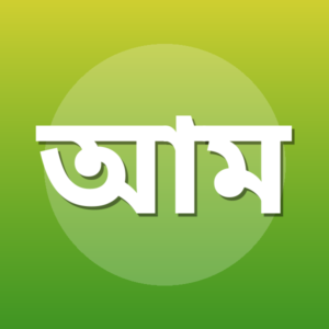 আবদুল্লাহ মাহমুদ নজীব