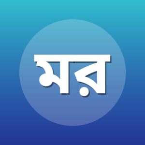 মতিউর রহমান নিজামী