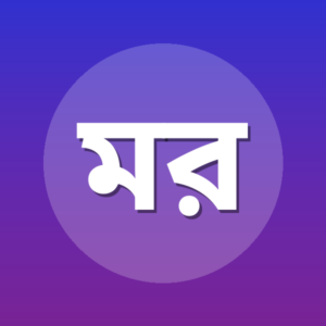 মোঃ রফিকুল ইসলাম