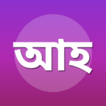 আব্দুল হাসীব বিন রইস