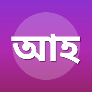 আব্দুল হাসীব বিন রইস