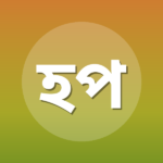 হাফিজ পাশা